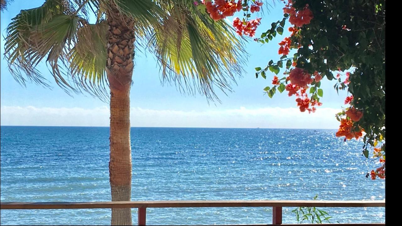 Mi Capricho Beachfront- 3-7 Apartment With Sea Views Sitio de Calahonda Esterno foto